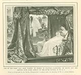 51KQHbrDPDL. SL160  1903 Woman in Politics Susan B Anthony Cleopatra