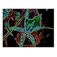glowing Photographic Poster Print by Jason Poellot, 24x20