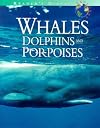 Reader's digest explores whales, dolphins & porpoises (Reader's Digest Explores Science & Nature Series)