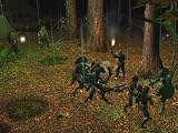 Neverwinter Nights Gold