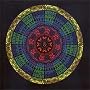 Consciousness