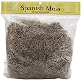 Panacea Spanish Moss, 8-Ounce, Natural