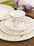Lenox Idalia  Bone China Platinum Banded Tableware Collection