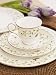 Lenox Idalia  Bone China Platinum Banded Tableware Collection