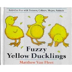 Fuzzy Yellow Ducklings