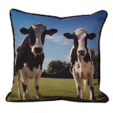 Cows Pillow 16x16