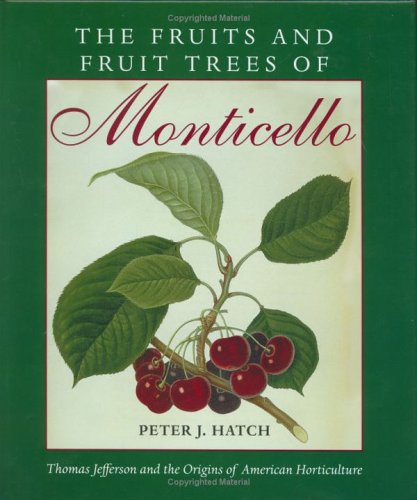 Fruit and Vegetable