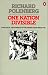 Books : One Nation Divisible: Class, Race, and Ethnicity in the United States Since 1938; Revised Edition (Penguin Classics)