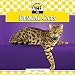 Bengal Cats (Checkerboard Animal Library: Cats)
