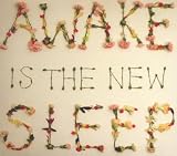 Awake Is the New Sleep (Dig)