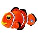 Sea Pals by Russ Clownfish