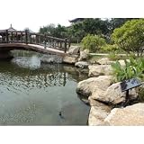 PK Green Solar Powered Fountain Water Feature - 60cm Height Battery Backup  from PK Green