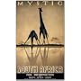 Mystic South Africa by Gayle Ullman-Framed 14x24 Canvas Art