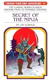 Secret of the Ninja