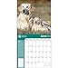 Golden Retrievers American Kennel Club 2015 Wall Calendar