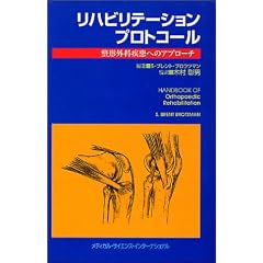 ���n�r���e�[�V�����v���g�R�[���\���`�O�Ȏ����ւ̃A�v���[�`