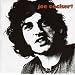 Joe Cocker (Reis)