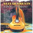 Guitar Greats: Best of New Flamenco