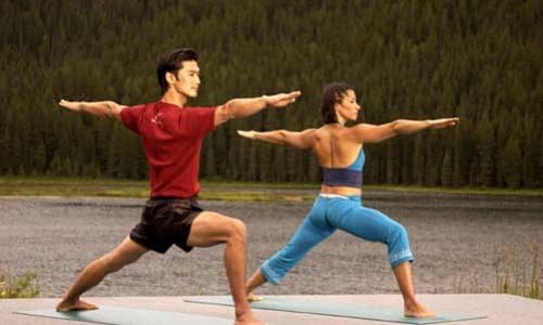 ヨガ・ベーシックス~初級編~ [DVD]