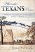 Book When the Texans Came: Missing Records from the Civil War in the Southwest, 1861-1862