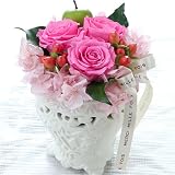 ��h�V�̓��M�t�g��v���U�[�u�h�A�����W�u�m�[�u���n�[���j�[�v�y���͂���9��12���`15���z