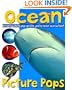 Picture Pops Ocean