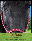 Zydeco Goes to Horse Camp