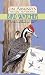 Bird Watcher (Jim Arnosky's Nature Notebooks) by Jim Arnosky