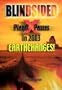 Blindsided: Planet X Passes in 2003- Earthchanges!