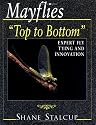Mayflies: Top to Bottom