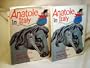 Anatole in Italy