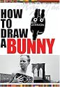 How to Draw a Bunny