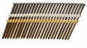 B & C Eagle A312X131/22 Round Head 3-1/2-Inch by .131-Inch by 20 to 22 Degree Plastic Collated Framing Nail (500 per Box)