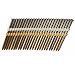 B & C Eagle A312X131/22 Round Head 3-1/2-Inch by .131-Inch by 20 to 22 Degree Plastic Collated Framing Nail (500 per Box)