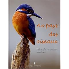 Au pays des oiseaux
