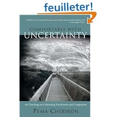 Comfortable With Uncertainty: 108 Teachings on Cultivating Fearlessness and Compassion