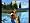 Sega Bass Fishing