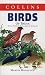 Birds of India