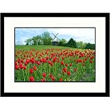 Great American Picture IS853012 Holland Tulip Festival Framed Photograph