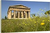 Temple of Poseidon (Neptune) - 20 Inch Canvas Print (51 cm) by Robert Harding