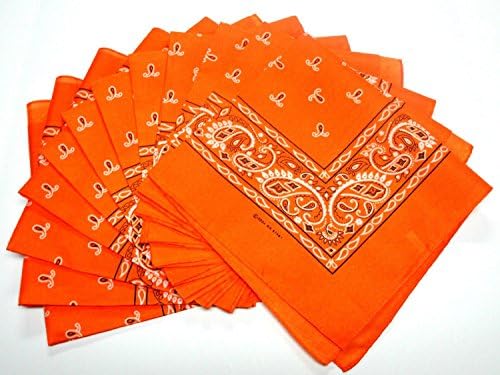Orange Bandana 10 Pieces Paisley Wholesale Lot Brand New Party Favors