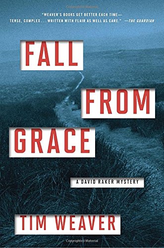 Fall from Grace (A David Raker Mystery)