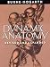 Dynamic Anatomy