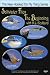 Saltwater Flies: The Beginning