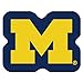 FANMATS NCAA University of Michigan Wolverines Nylon Face Mascot Rug