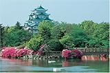 1000ピース 金の鯱・名古屋城 1000-341
