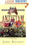 Antietam (The Civil War Battle Series, Book 3)