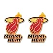 Miami Heat Post Stud Logo Earring Set Nba Charm