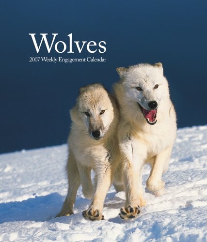 maria sharapova 2007 swimsuit calendar maria sharapova 2007 swimsuit calendar