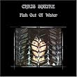 Fish Out Of Water